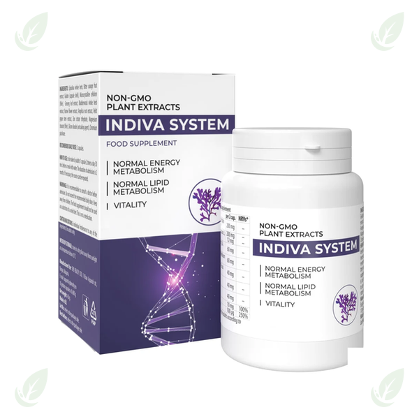 InDiva System